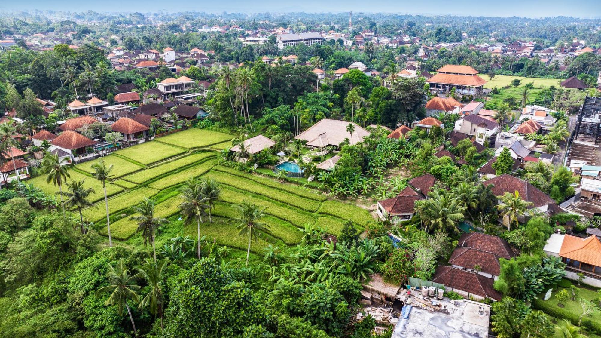 Imperial In - Majestic Beauty And Nature * Ubud (Bali)