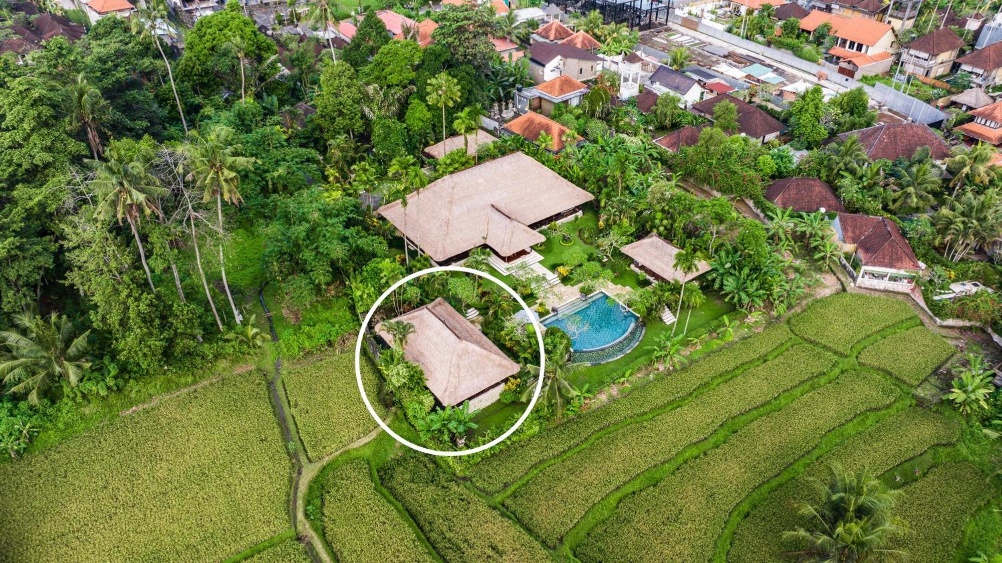 Imperial In - Majestic Beauty And Nature * Ubud (Bali)