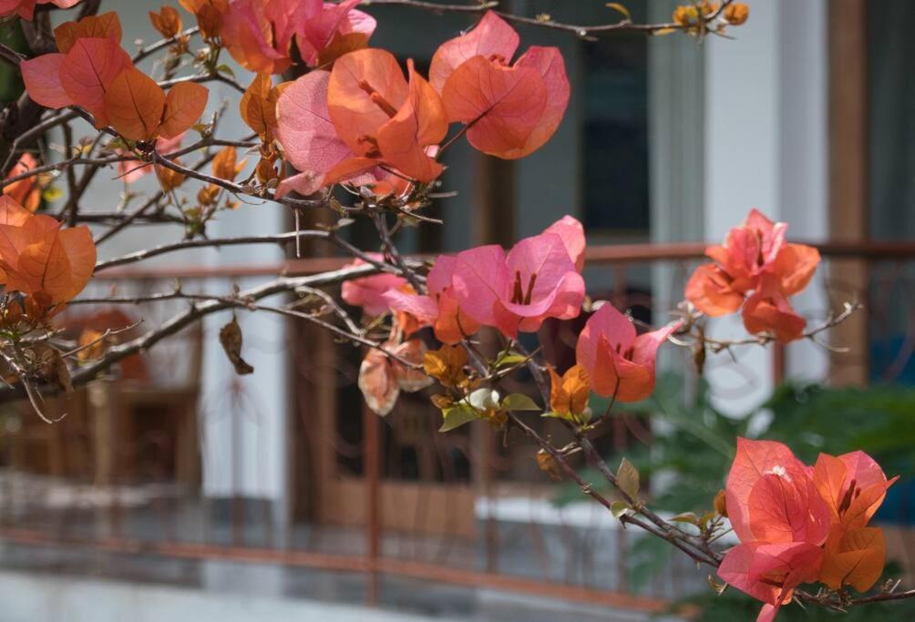 Heaven View 9 Bedroom Nature Visuals Sayan Villa