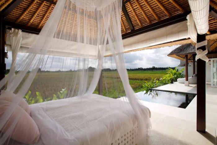 Fall In With Rose Moon Villa *