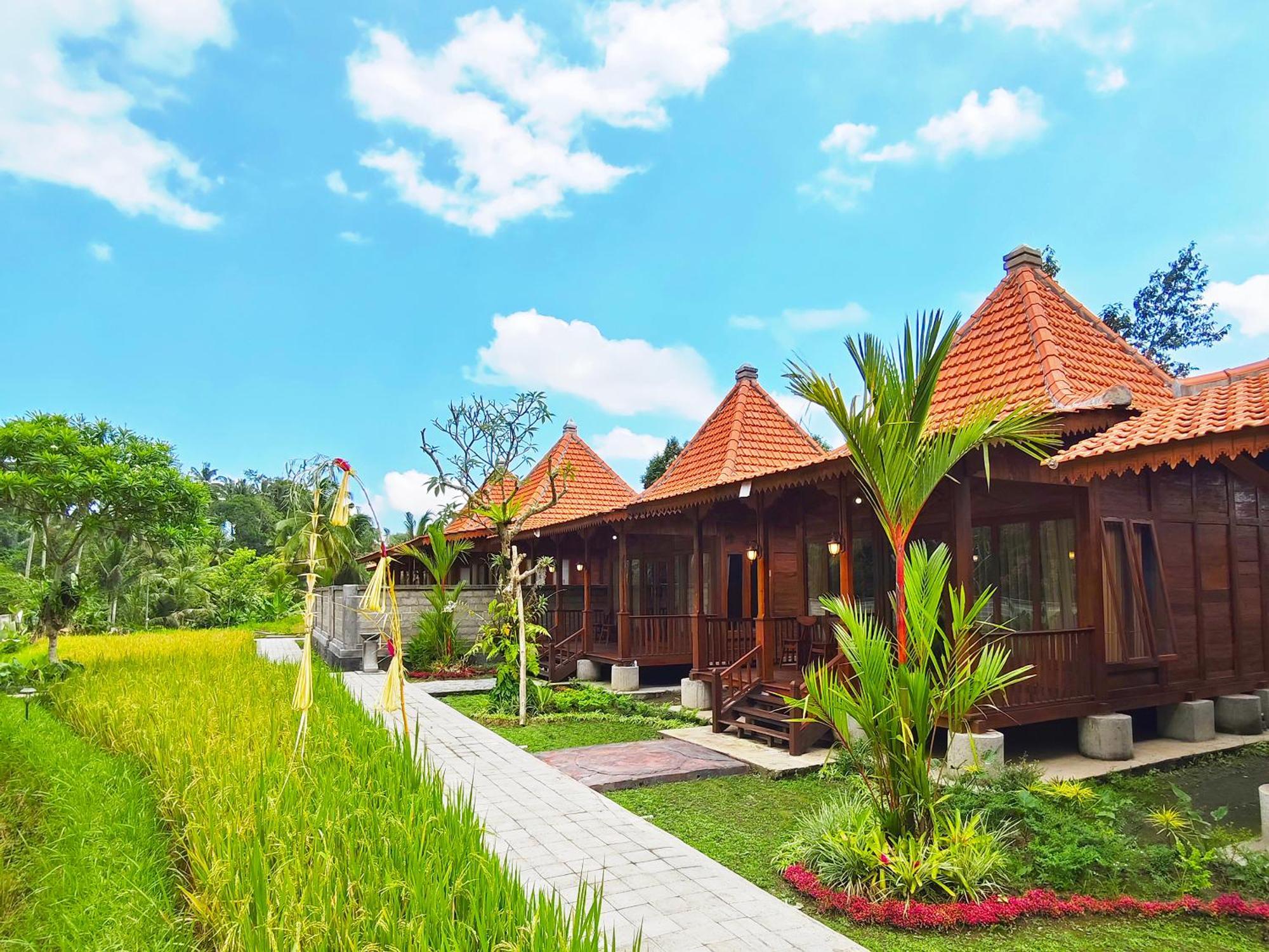 Uma Ulun Dugul By Uniquecations *