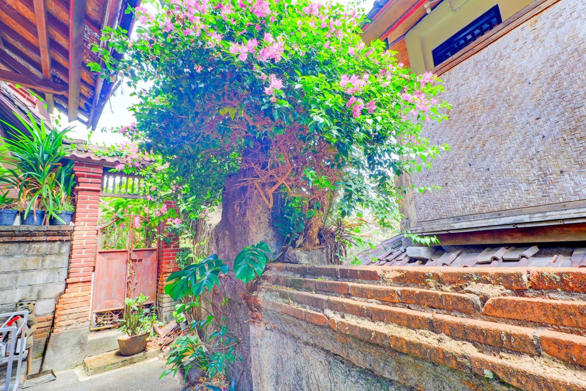 Homestay O Ubud Asri Near Monkey Forest Ubud (Bali)
