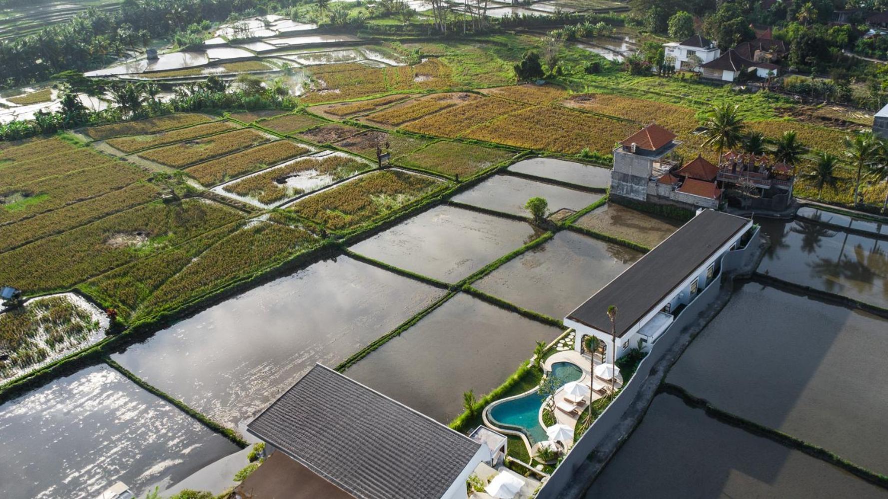 Dallas By Balisuperhost Ubud (Bali)