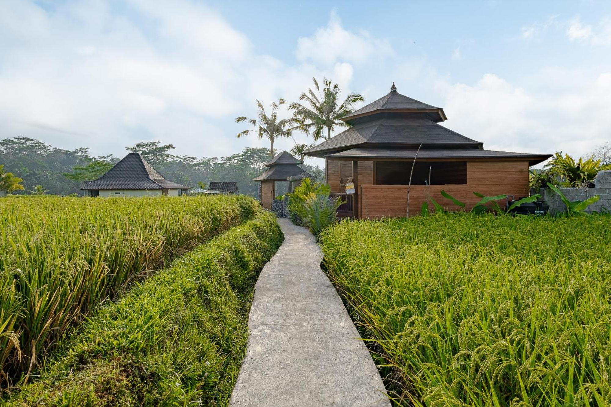 Wooden Stone Eco Villa Ubud (Bali)