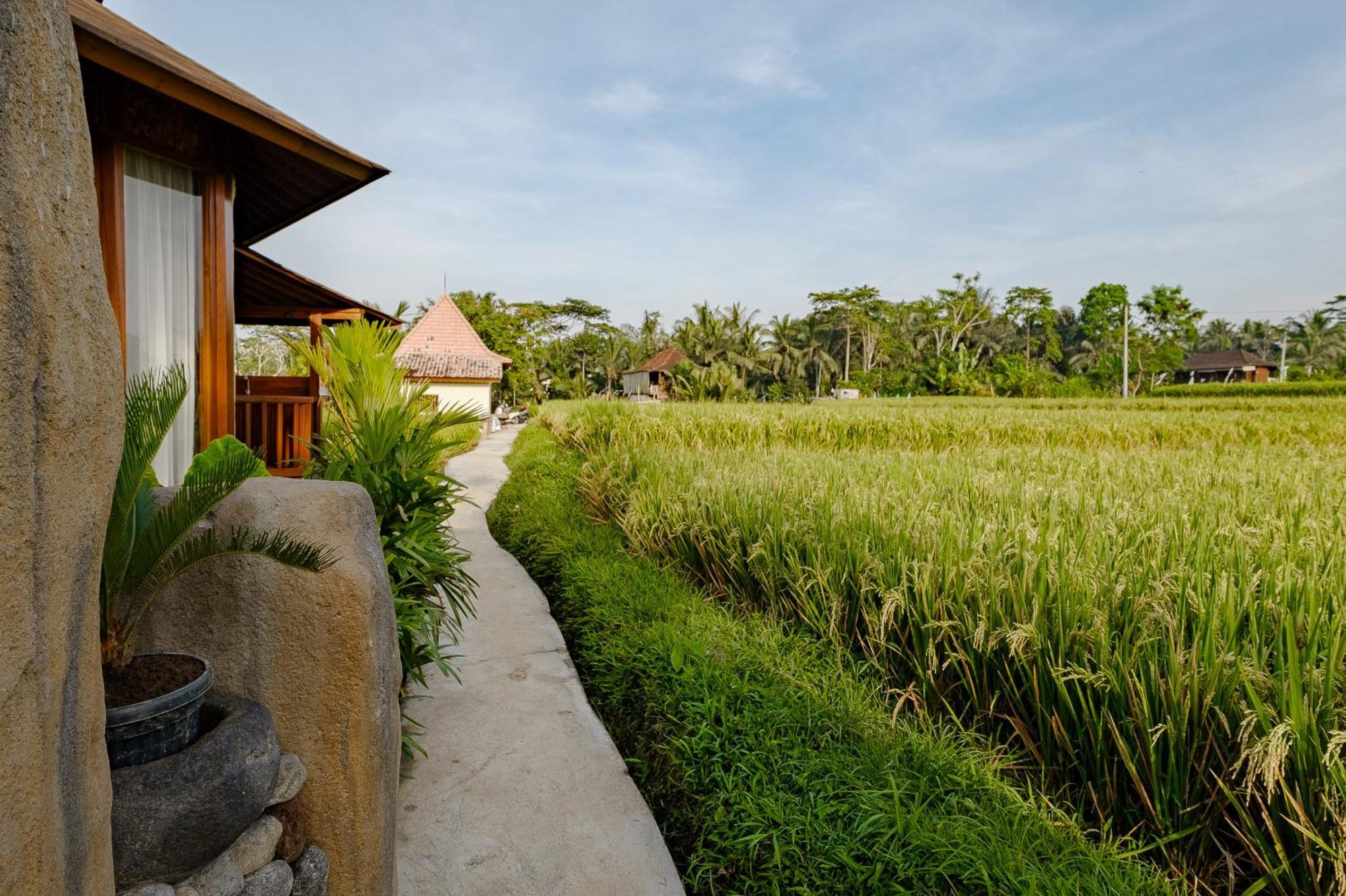 Villa Wooden Stone Eco Ubud (Bali)
