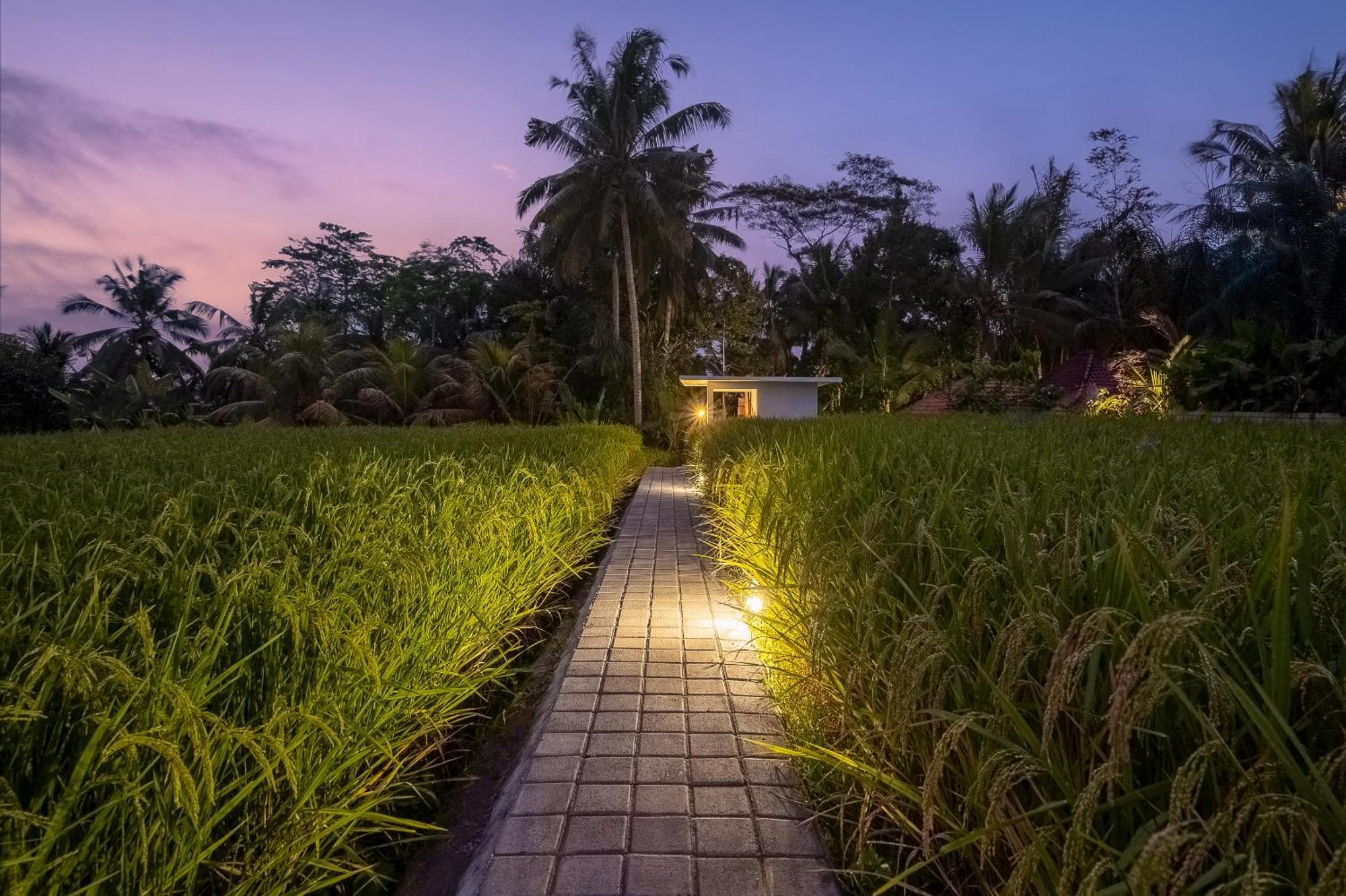 Anantra Bali Eco Villa Ubud