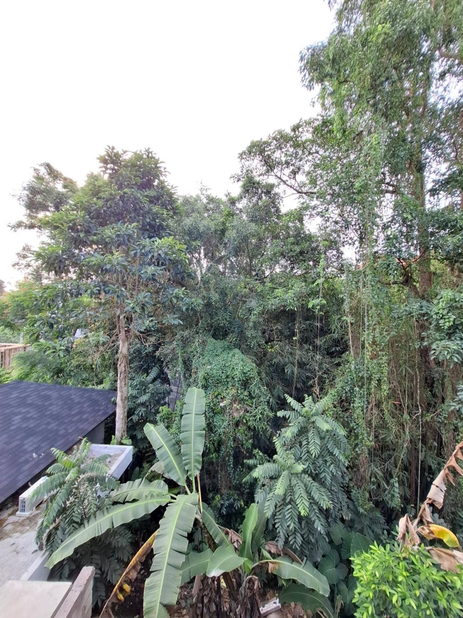 Guest house Palm House