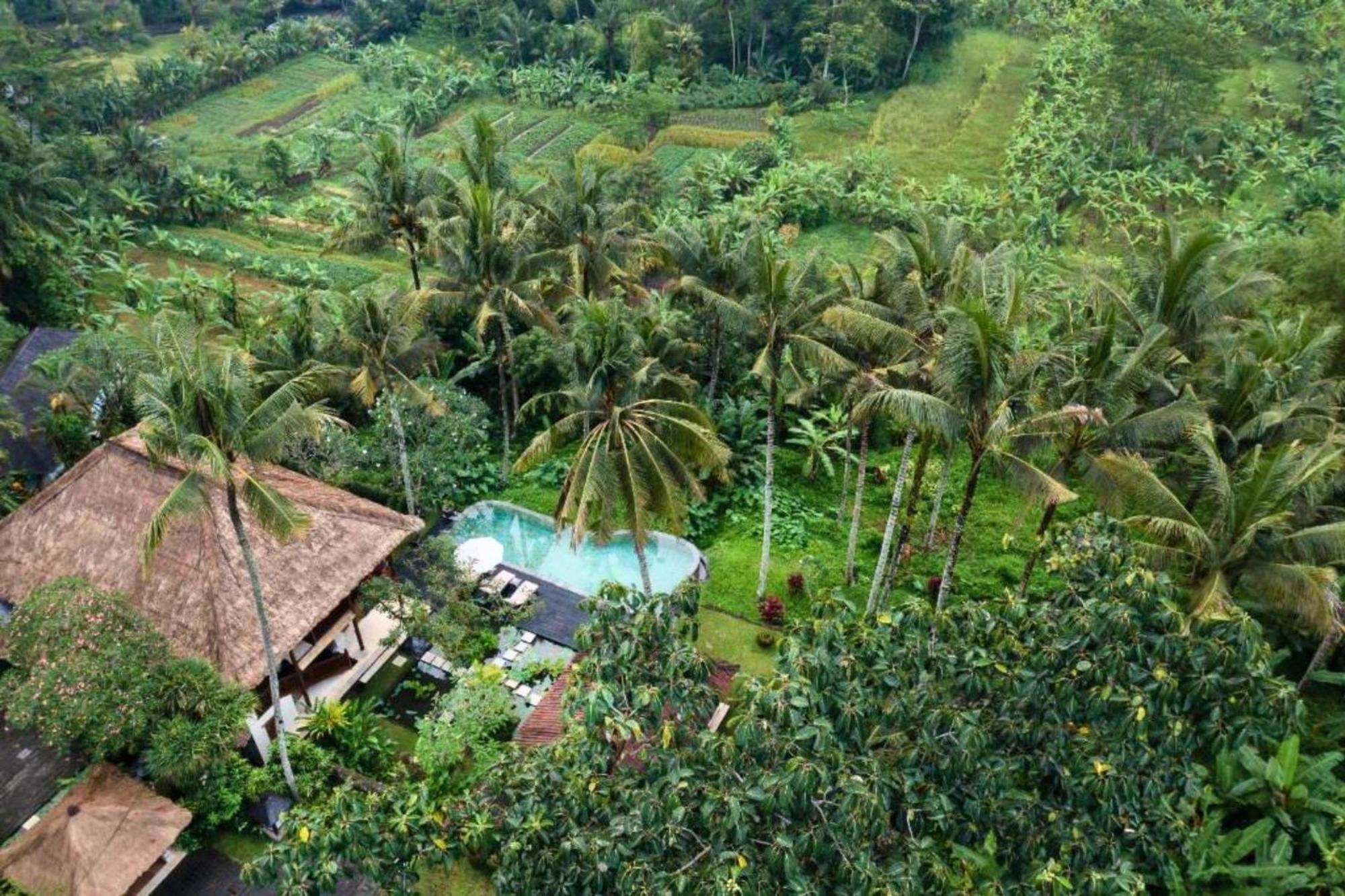 Natural View 2 Bedroom Private Pool Zn18 * Ubud (Bali)