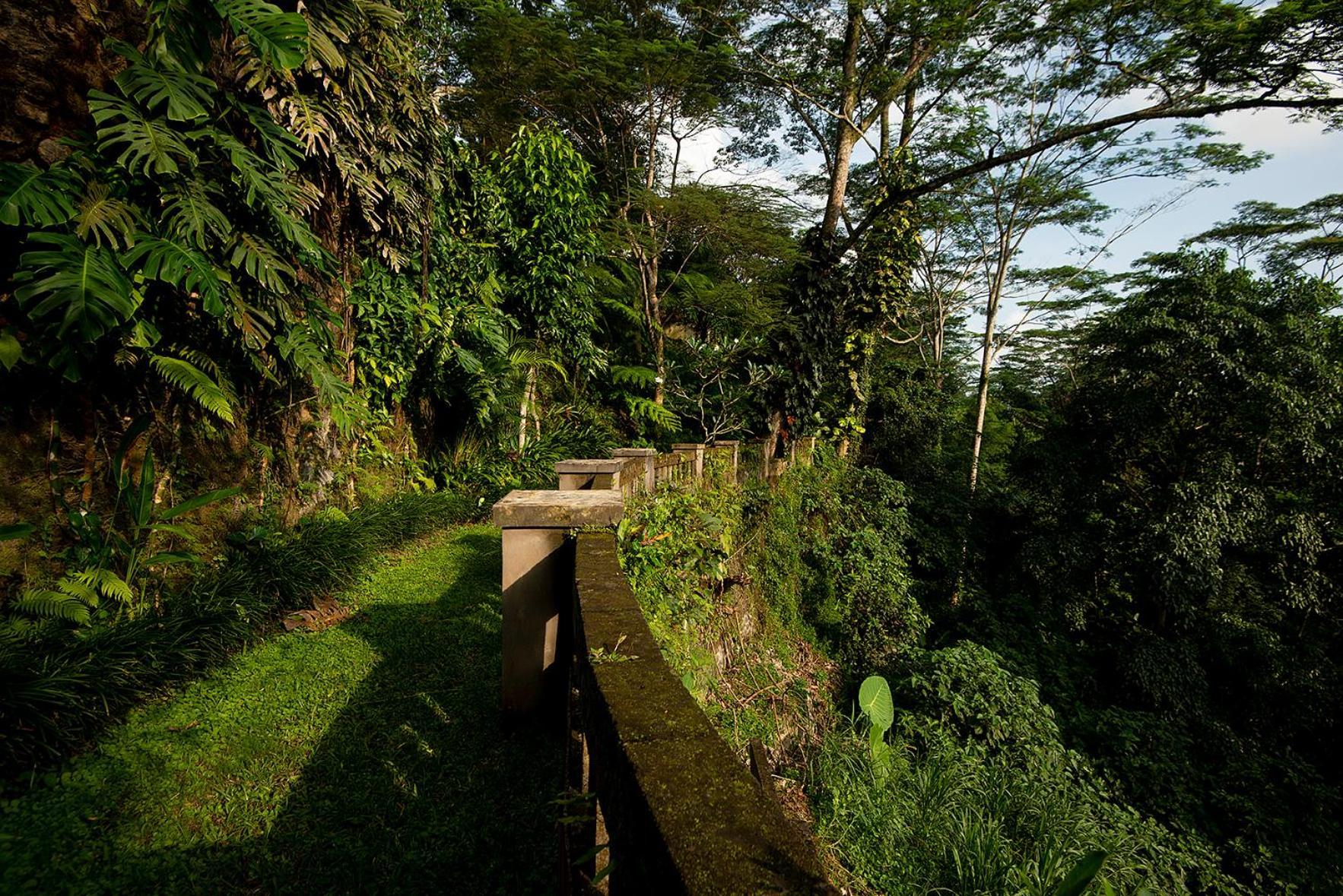 Villa Naga Putih Ubud (Bali)
