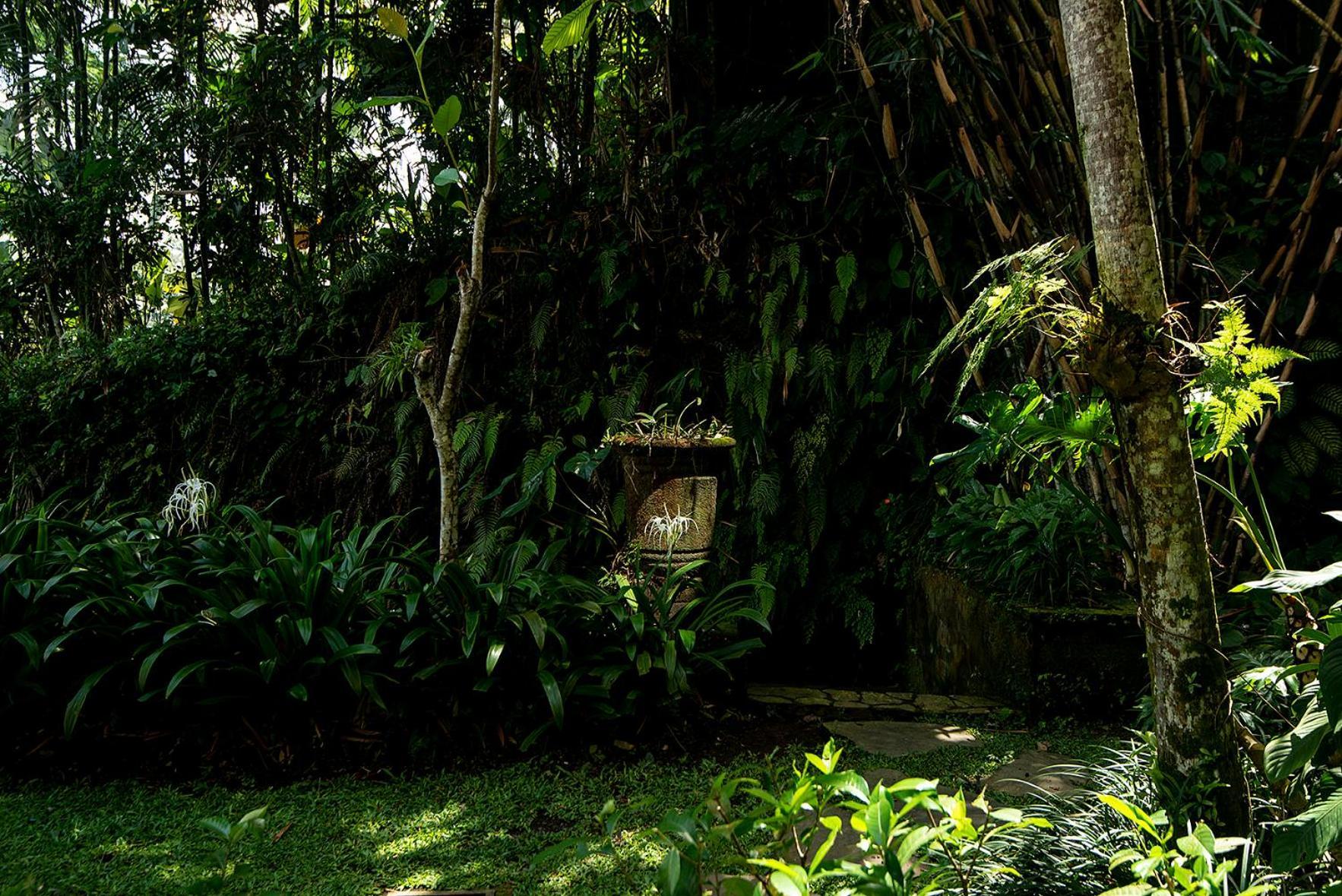 Villa Naga Putih
