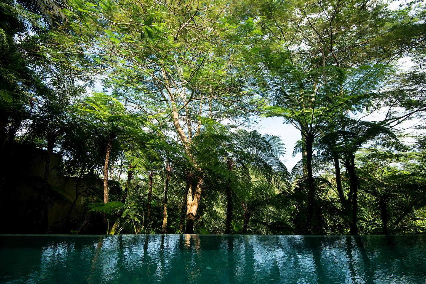 Villa Naga Putih *