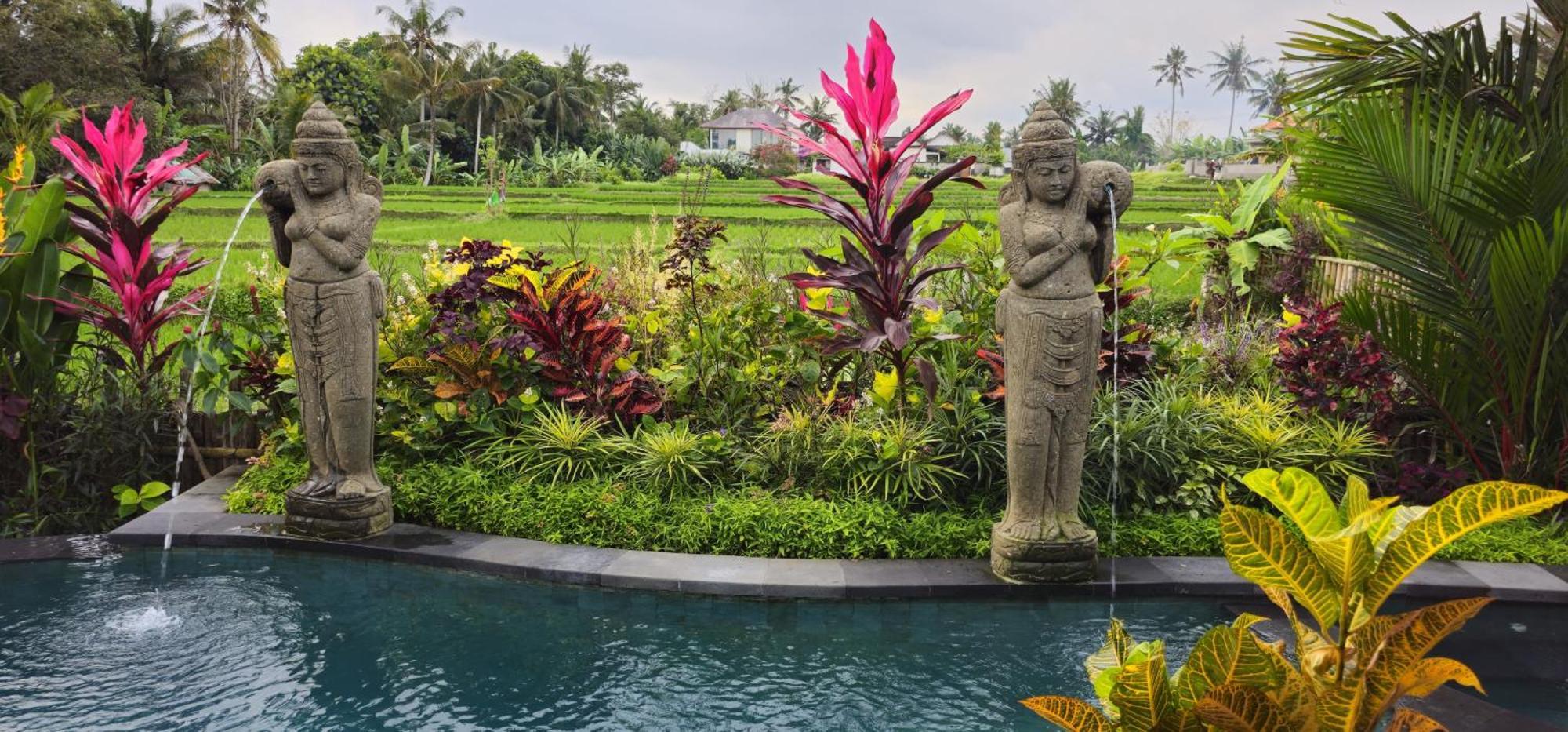 Nandimas #2 Ubud