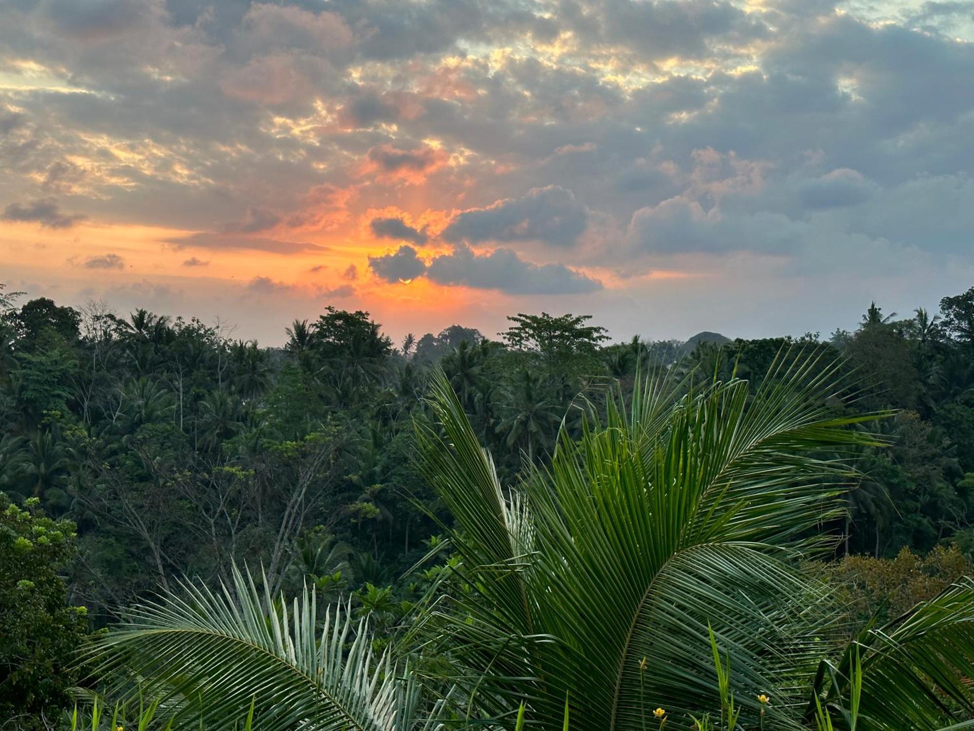 Brata Hotel Ubud (Bali)