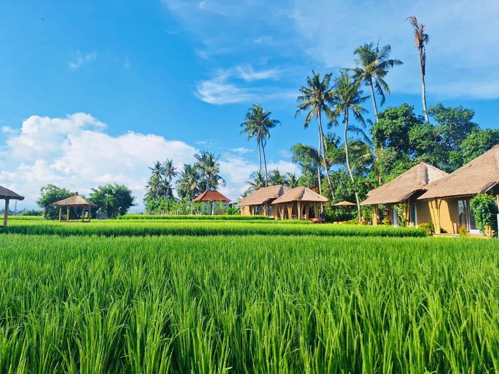 Rumah Kita Lodge Ubud