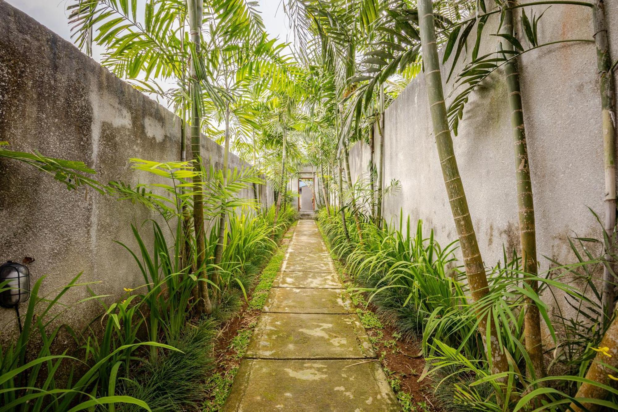 Pipi - Serenity Semi Wooden Private Pool In Villa Ubud (Bali)