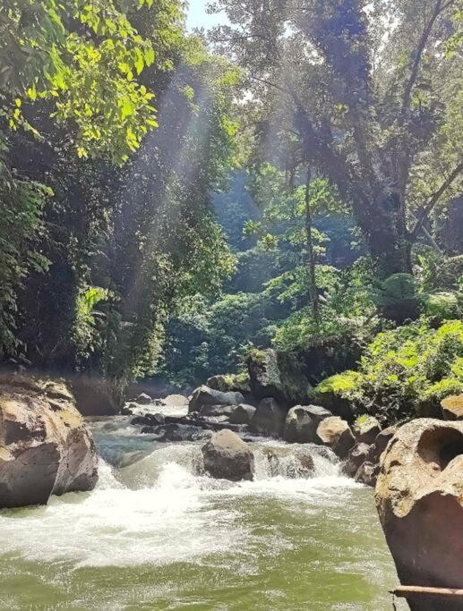 Apartment Superior One Bedroom W Stunning Waterfall View *