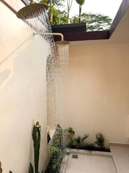 Superior One Bedroom W Stunning Waterfall View Apartment *