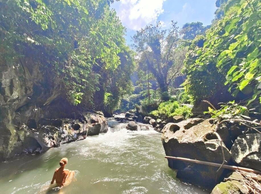 Superior One Bedroom W Stunning Waterfall View Apartment Ubud (Bali)