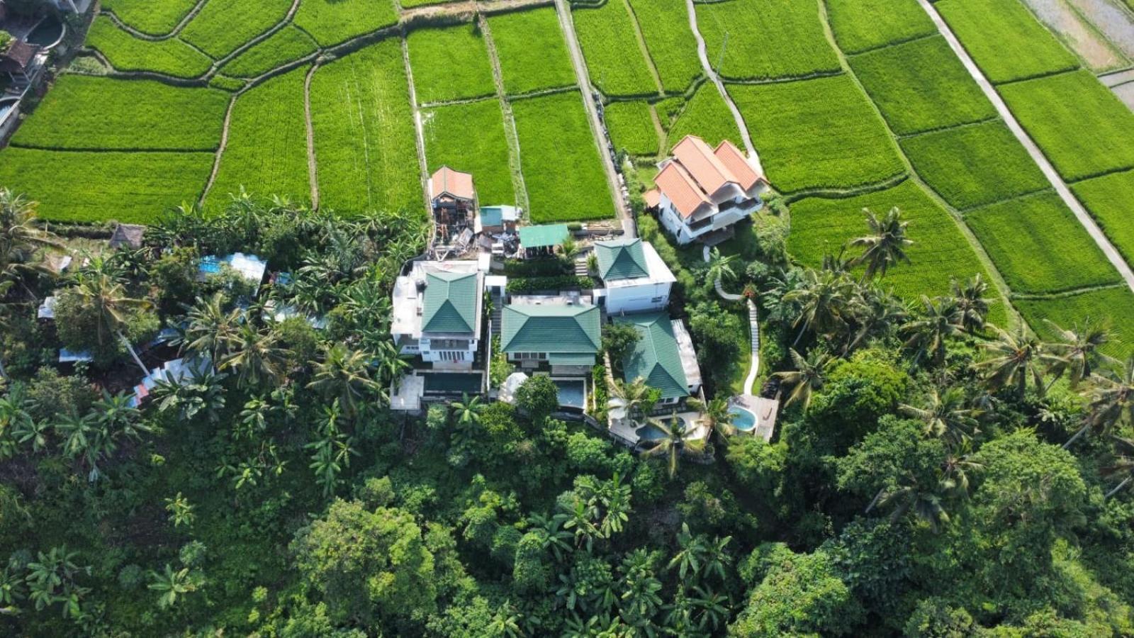Villa Suara Jiwa Luxury With Private Pool