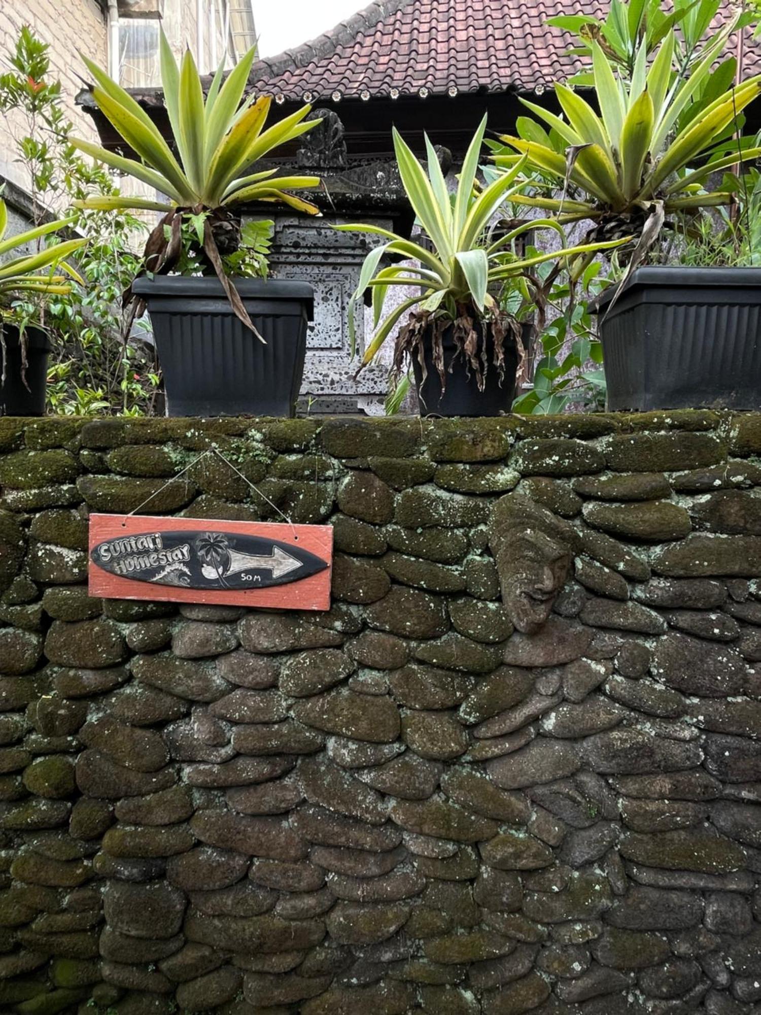 Homestay Suntari Ubud (Bali)
