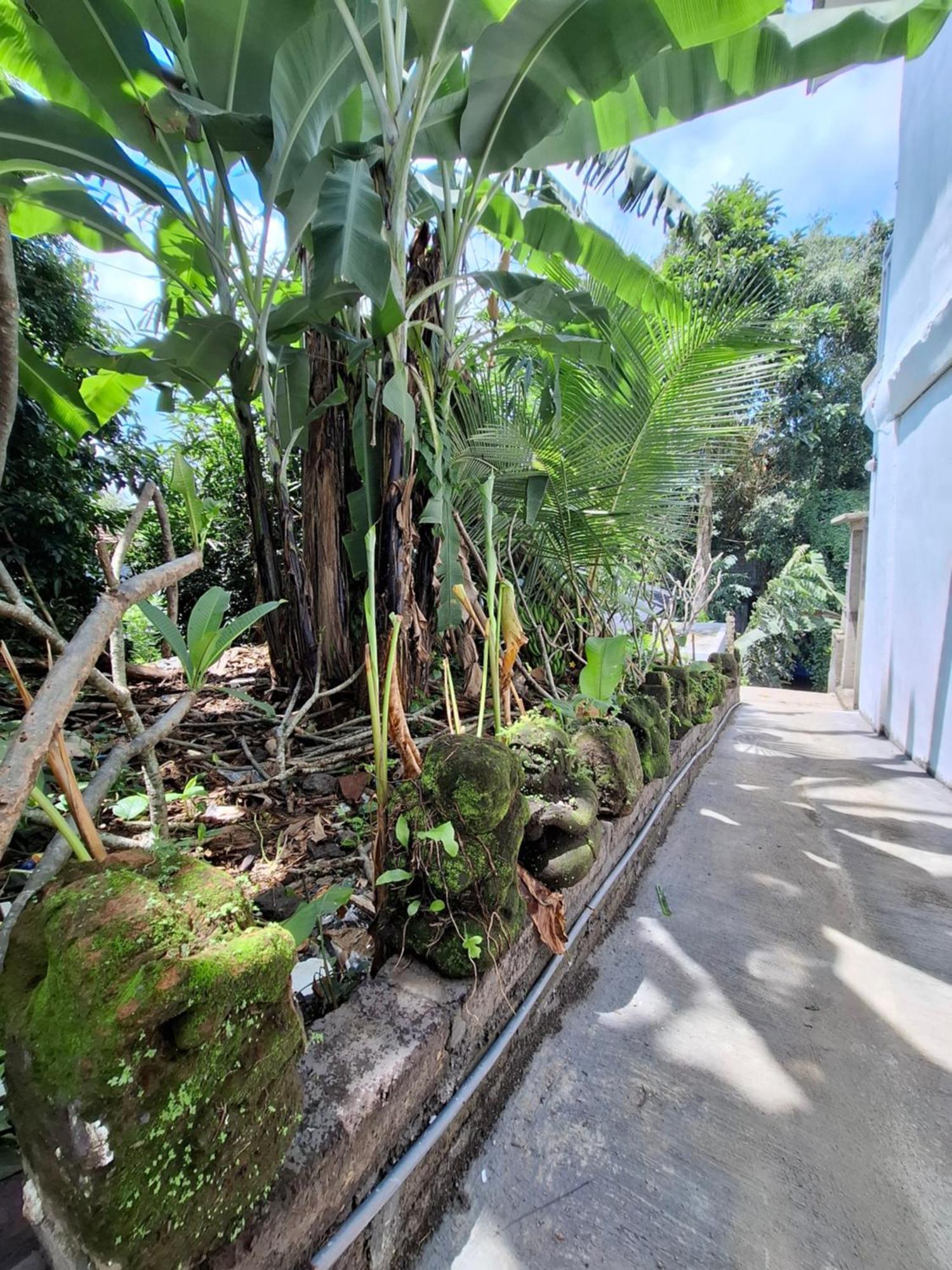 Guest house Palm House Ubud (Bali)
