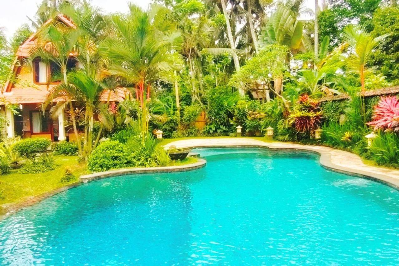 Guest house Tropical Deluxe Infinity Pool Cyn