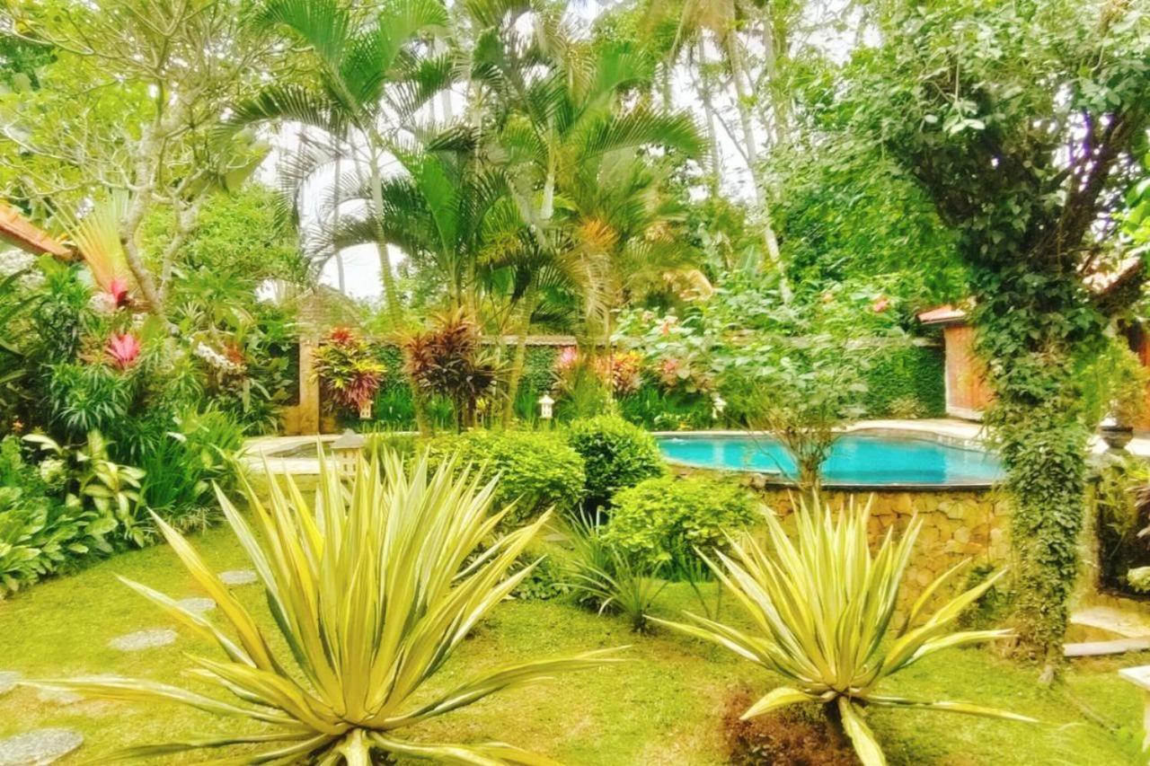 Guest house Tropical Deluxe Infinity Pool Cyn *