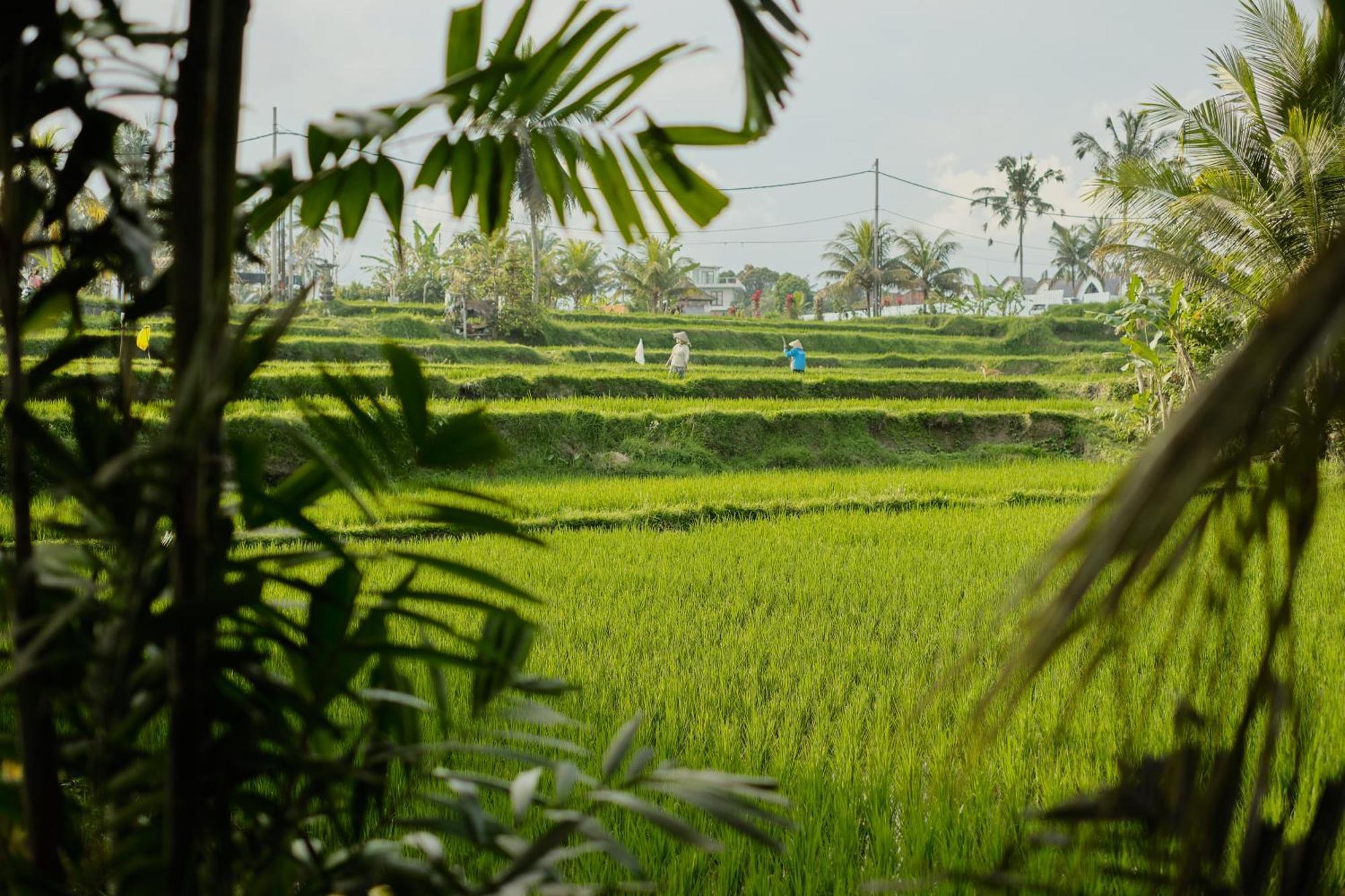 Villa Dania Cinta *