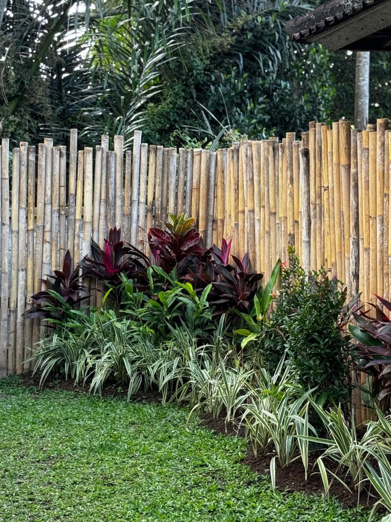 Kokokan House Bed & Breakfast