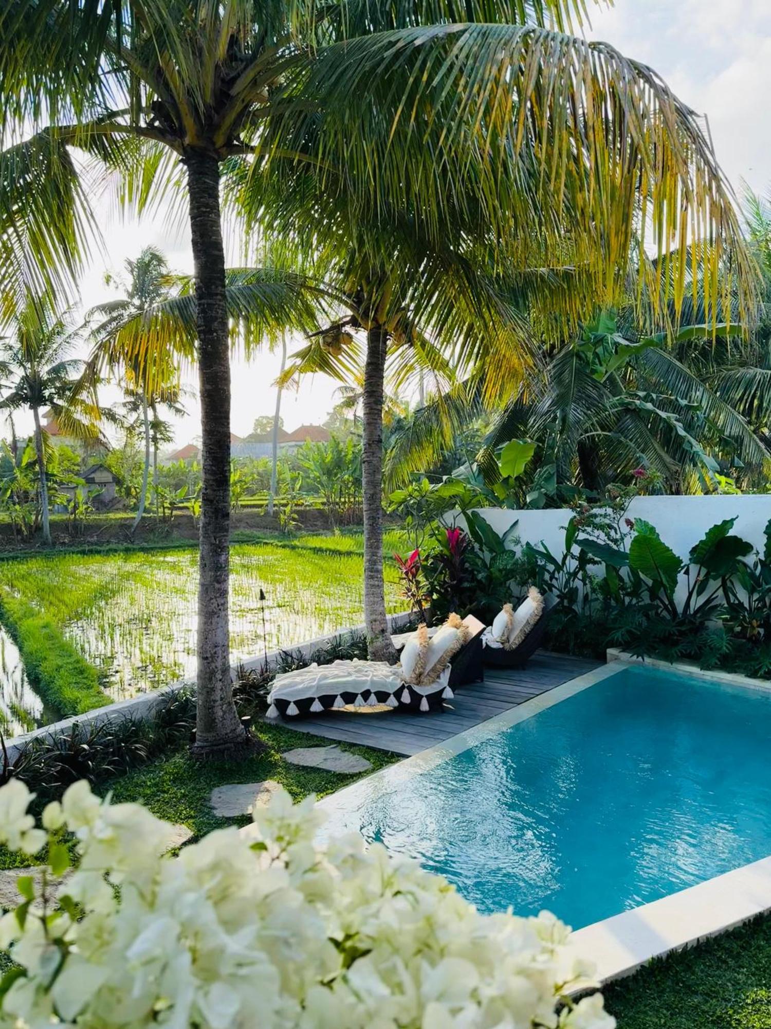 Amara De'vue Rice-field Panoramic View W Pool Ig Villa
