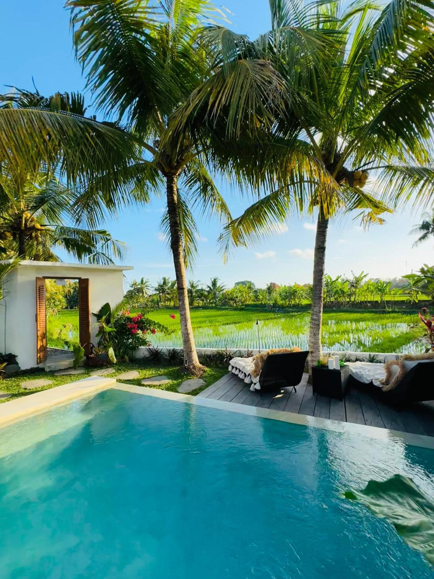 Villa Amara De'vue Rice-field Panoramic View W Pool Ig