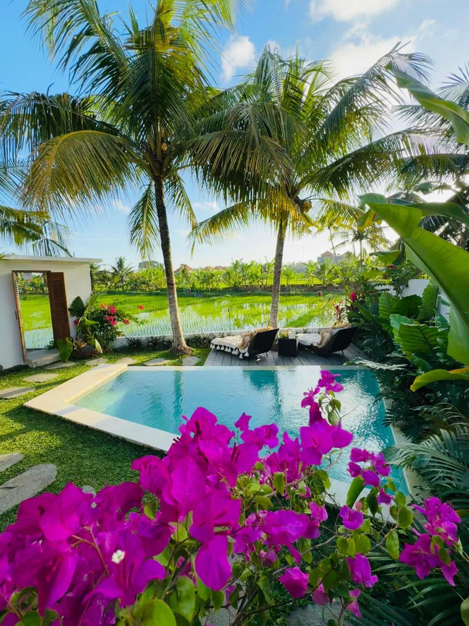 Villa Amara De'vue Rice-field Panoramic View W Pool Ig