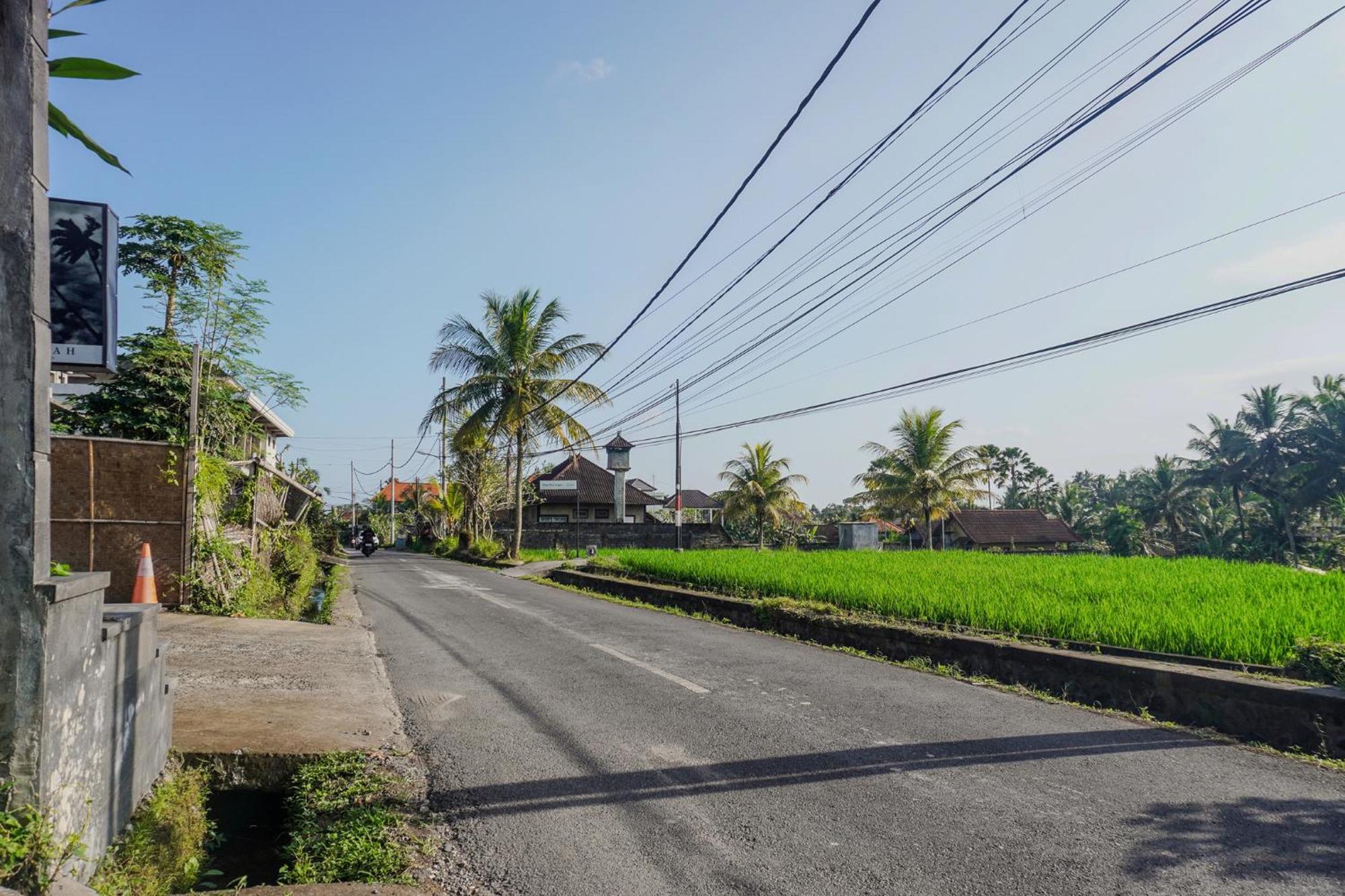 Monoor Villa *