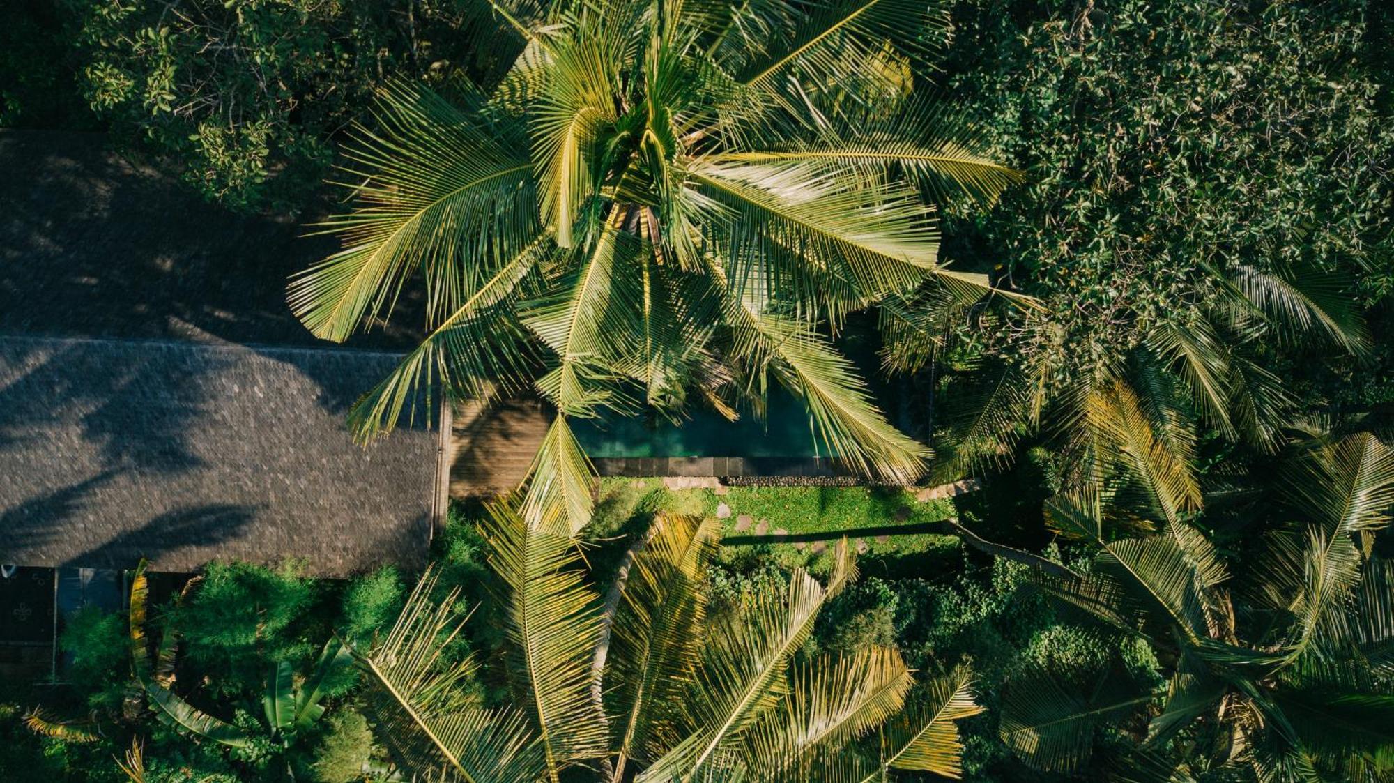 Secluded Jungle Getaway Villa Ubud (Bali)