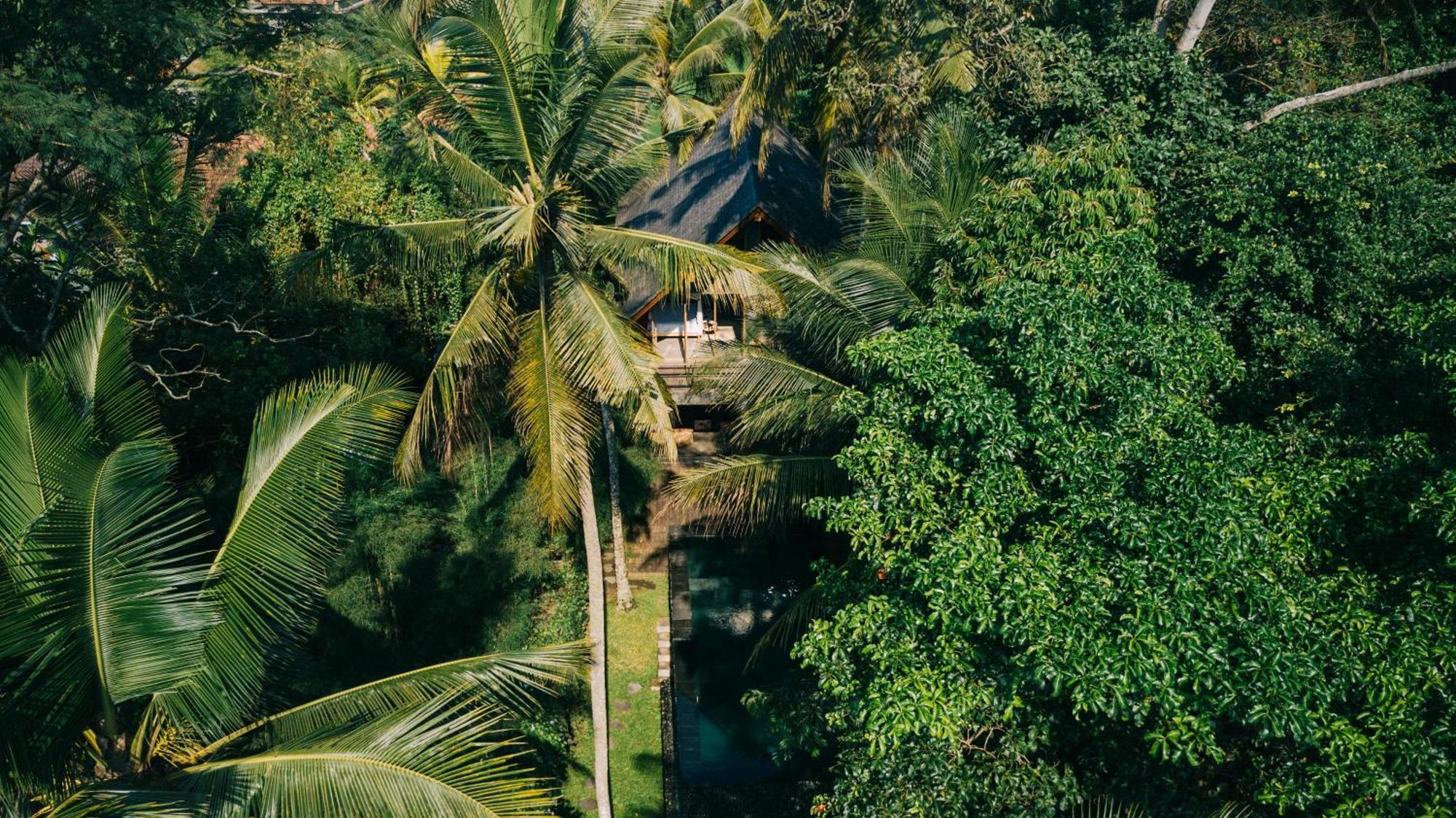 Secluded Jungle Getaway