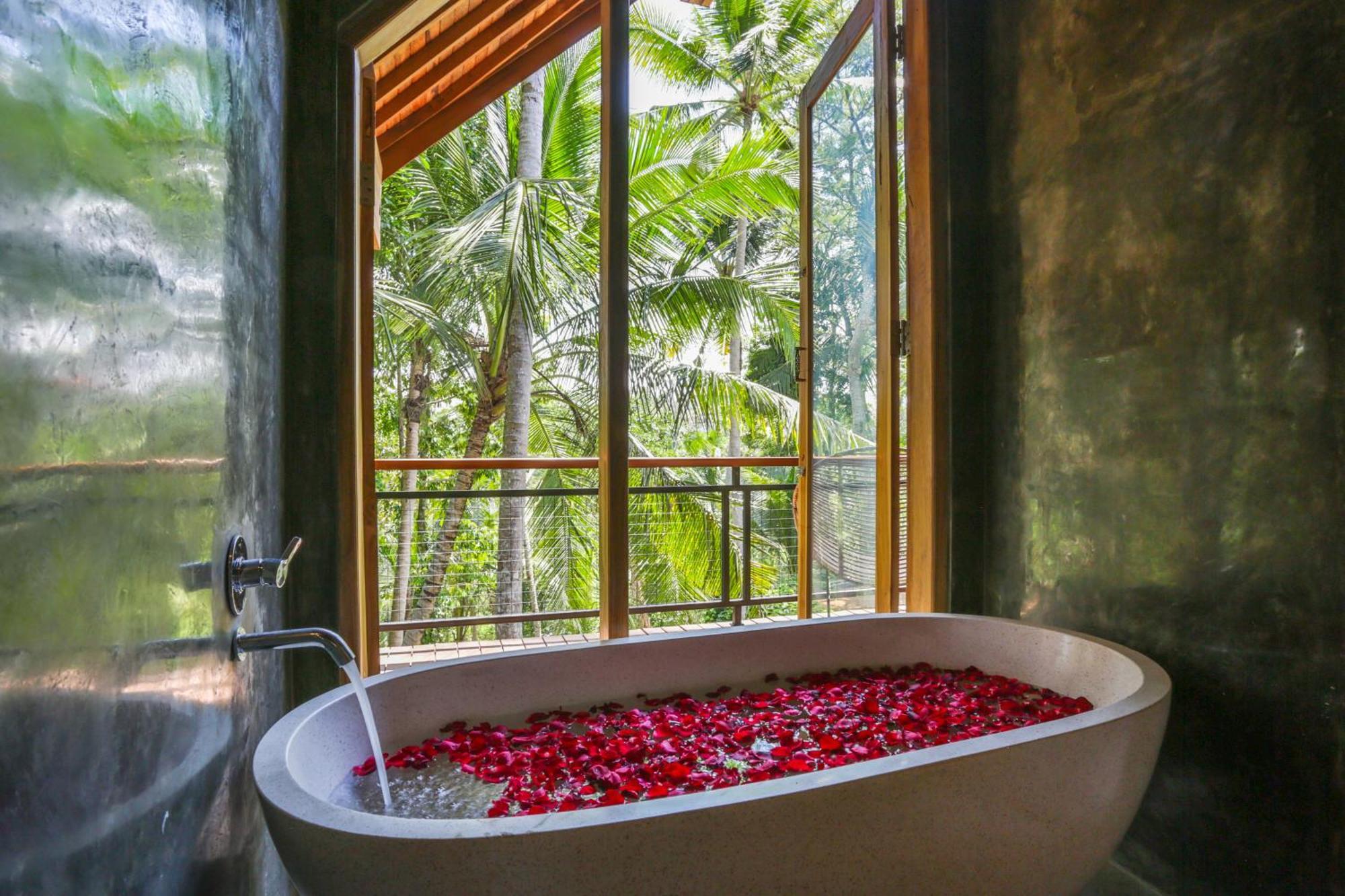 Secluded Jungle Getaway *