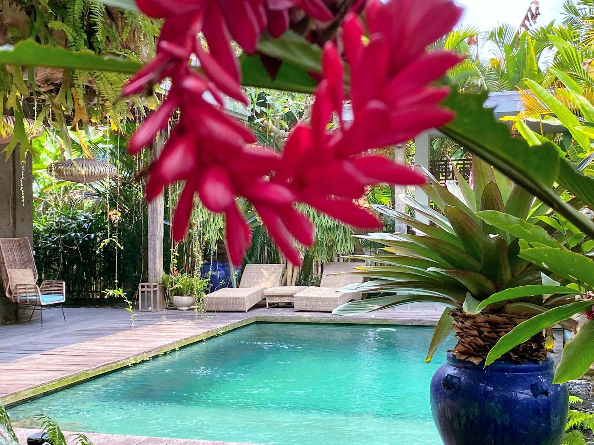 Alchemist House 烏布煉金師之屋 Ubud (Bali)