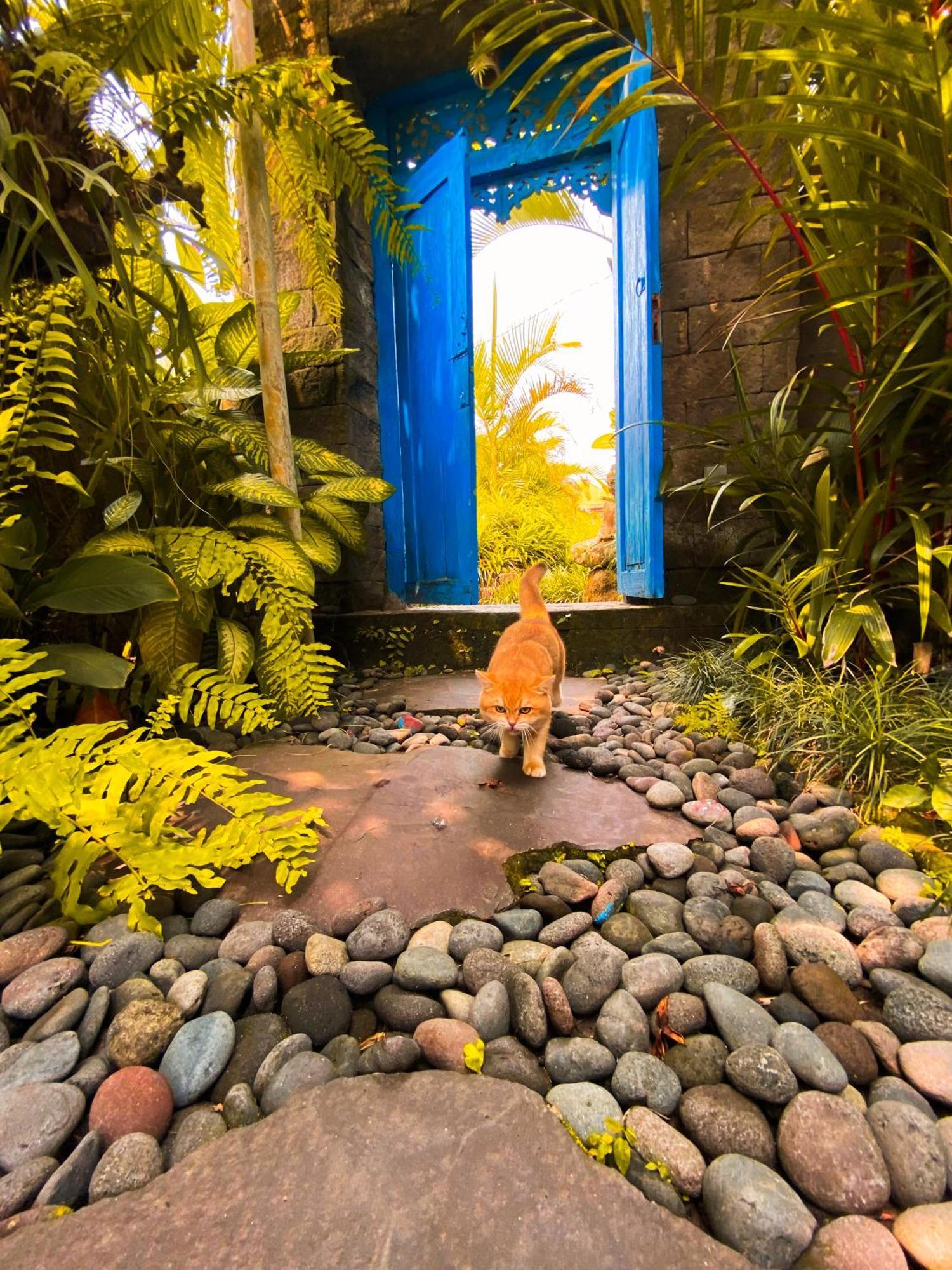 Alchemist House 烏布煉金師之屋 Villa Ubud (Bali)