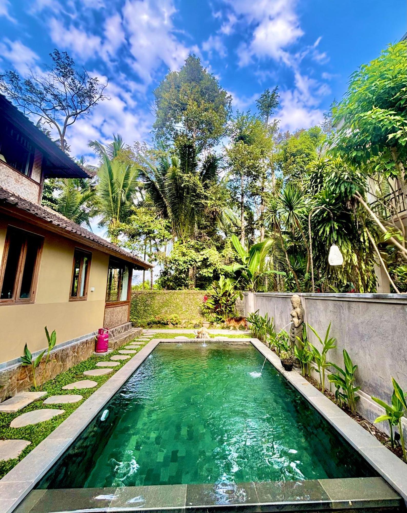 Balinese Ubud (Bali)