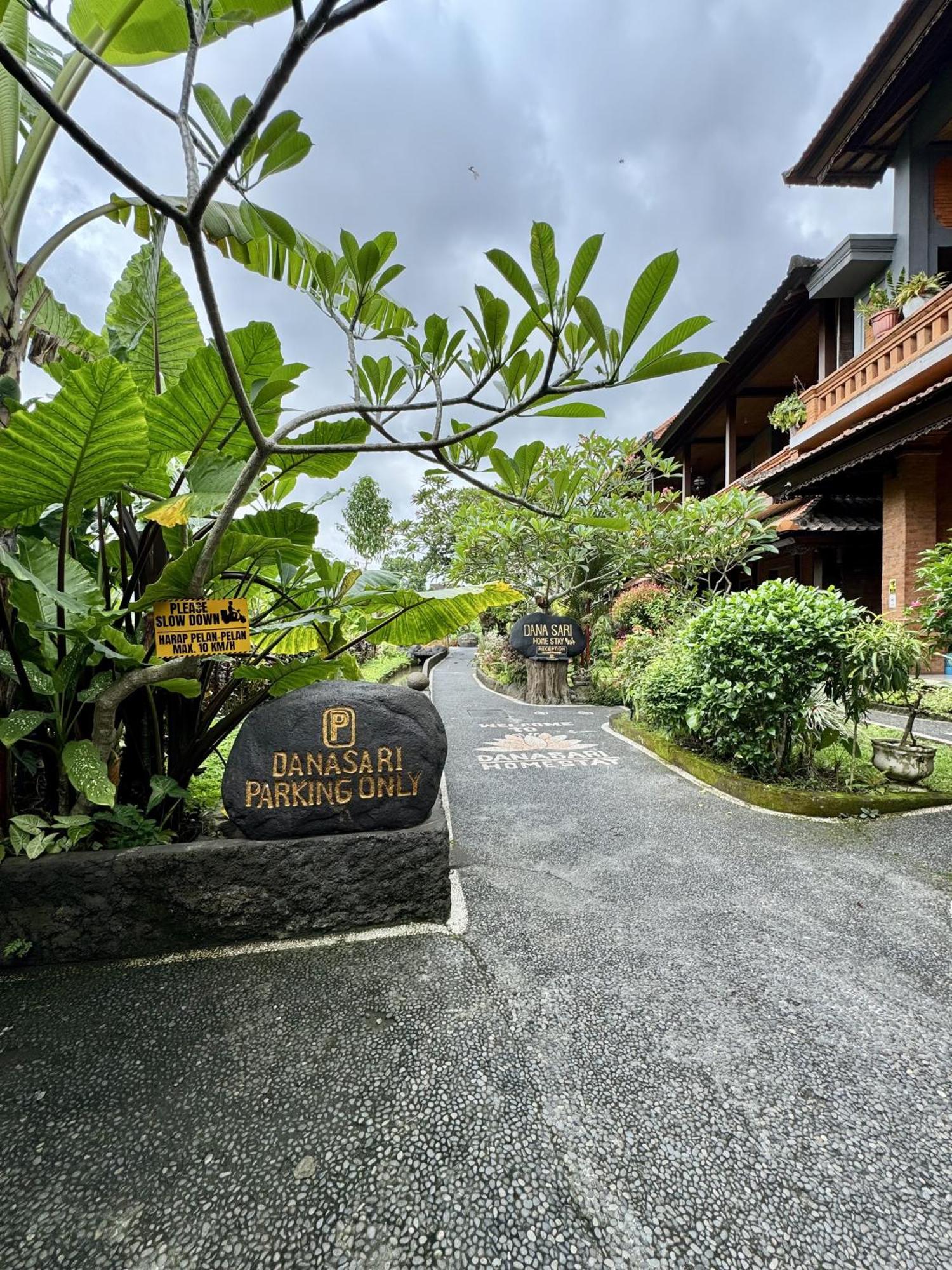 Danasari Homestay 2* Ubud (Bali)