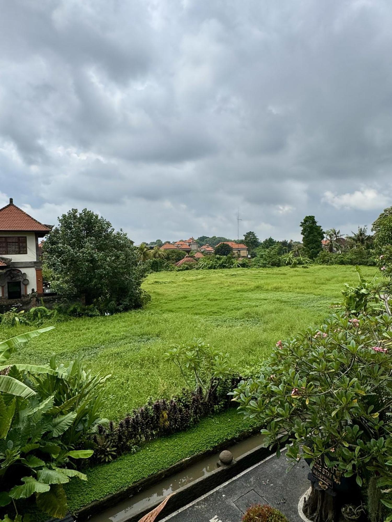 Danasari Homestay Ubud (Bali)