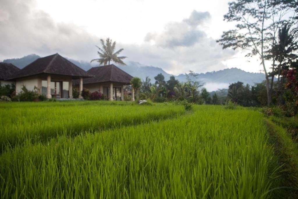 Hotel Pelangi Sidemen 4*