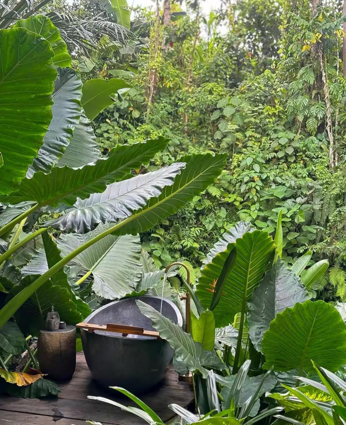 Wahem Eco Bamboo - Magical Bamboo House Bali * Ubud (Bali)