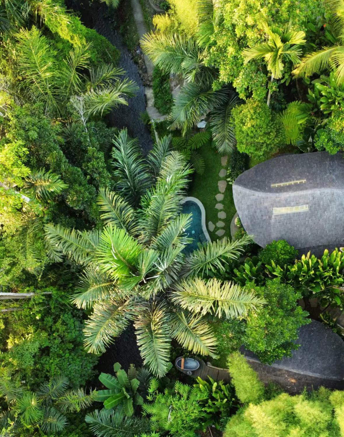Wahem Eco Bamboo - Magical Bamboo House Bali Villa Ubud (Bali)