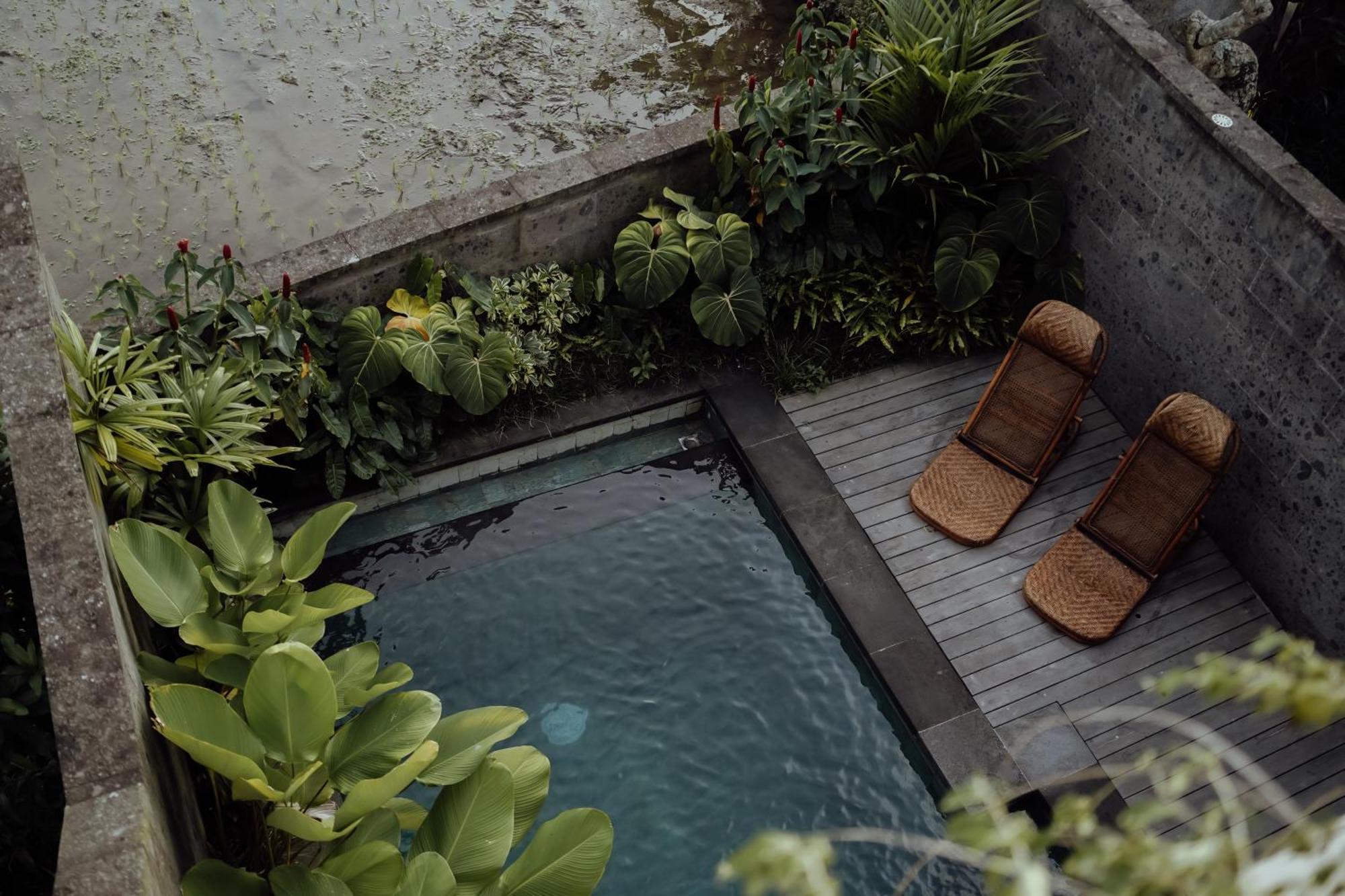 Wakasuta House Bed & Breakfast *