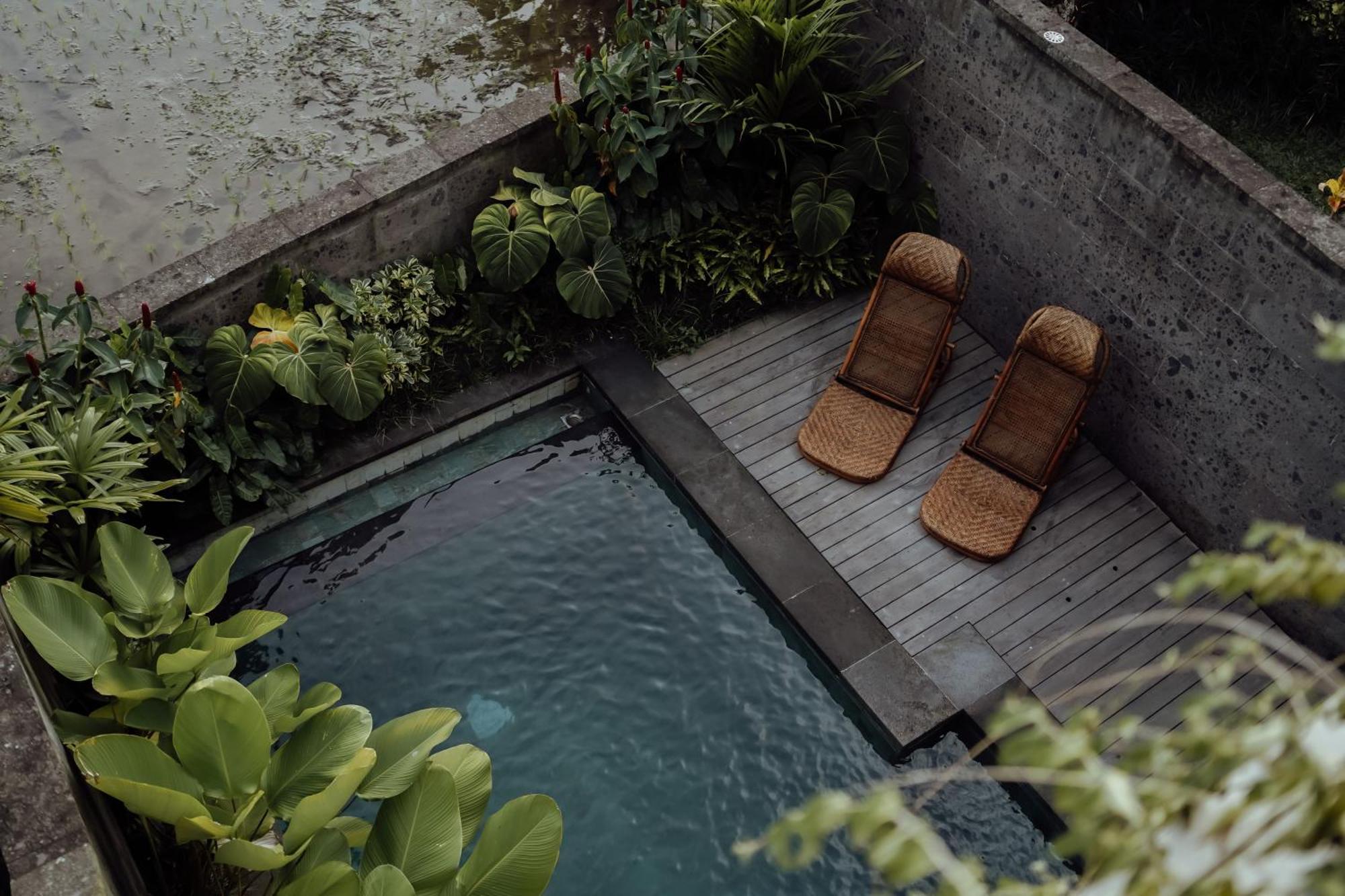 Wakasuta House Bed & Breakfast