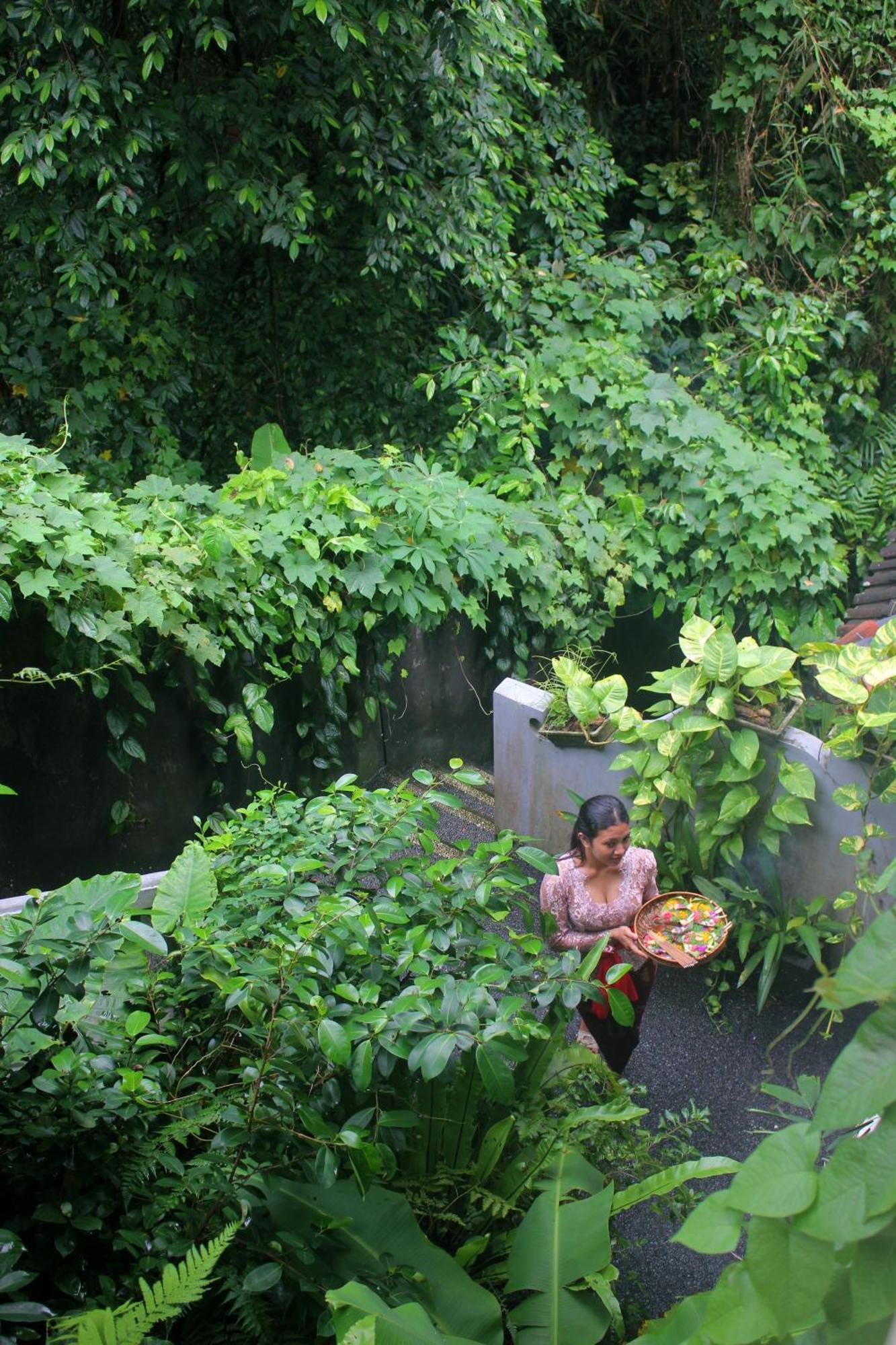 Guest house Sari Gong Guest House, A Trishula Collection Ubud (Bali)