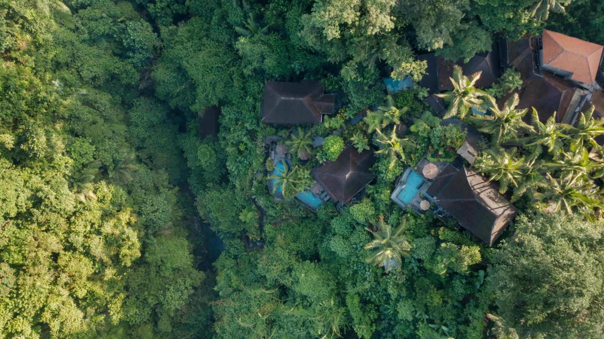 Bidadari Private & Retreat Vila