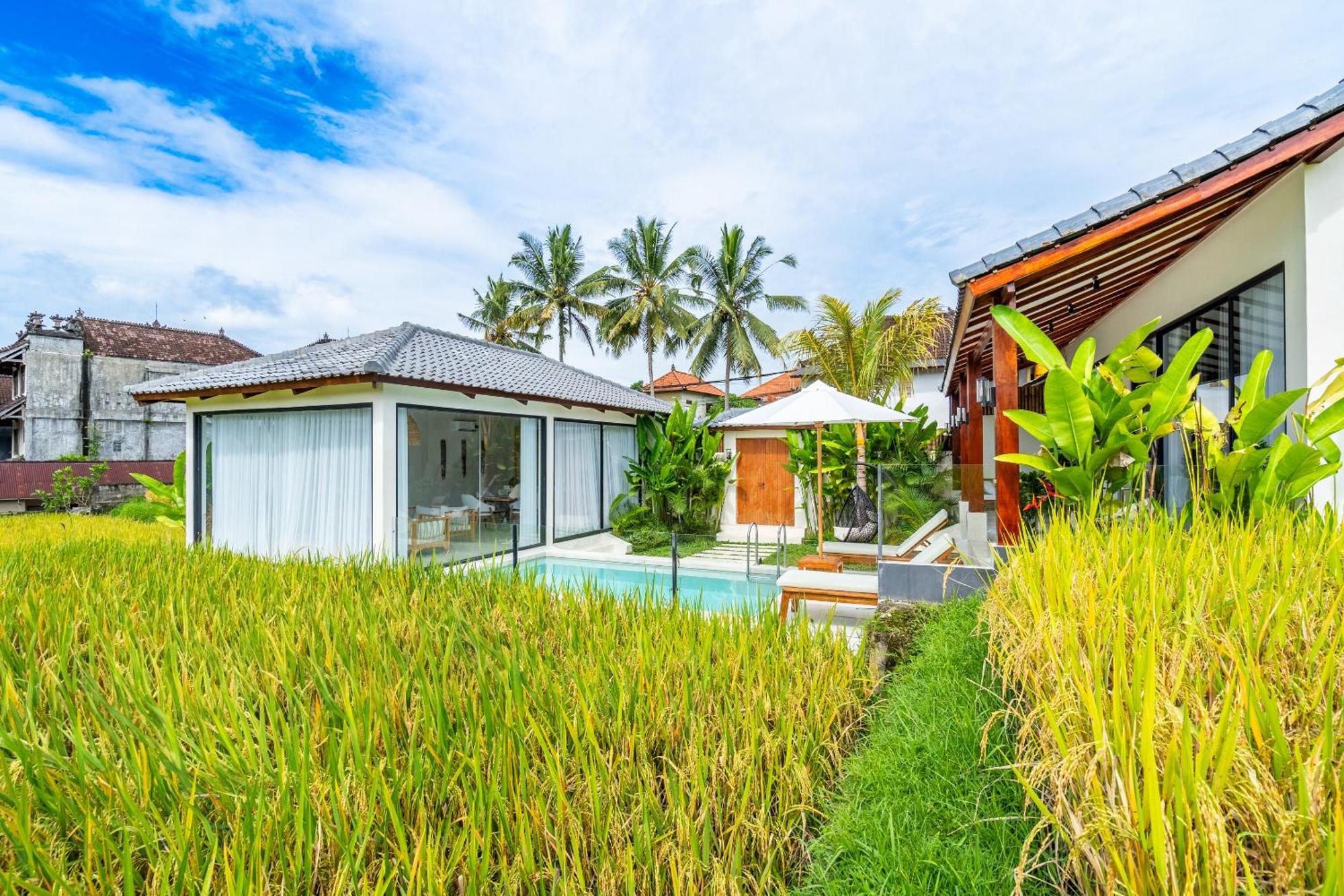 Vila Rice Field