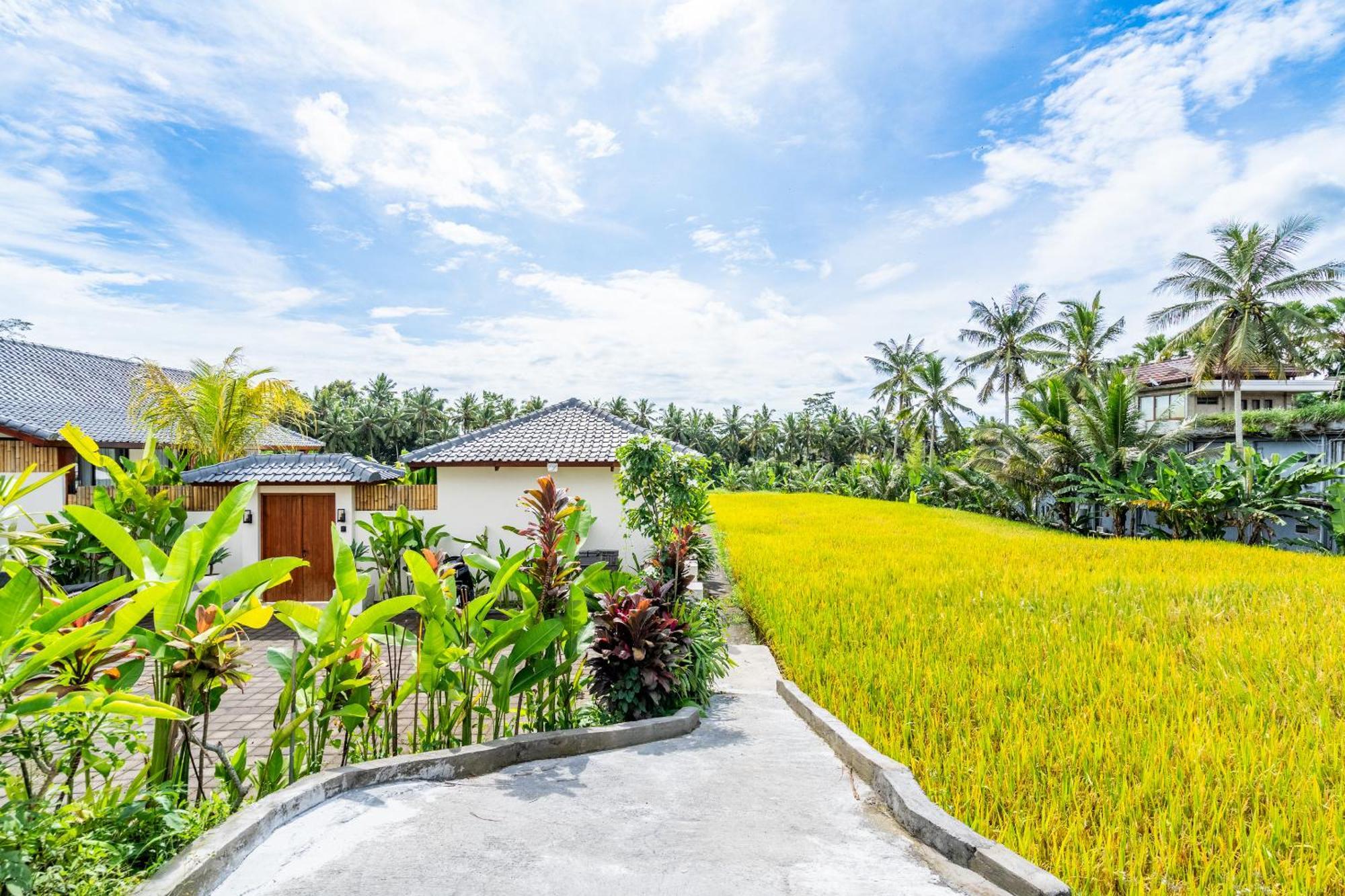 Rice Field Villa Ubud (Bali)